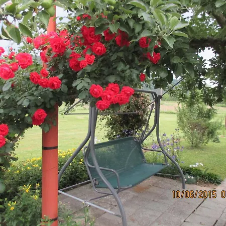 Lucky Bungalows Elena